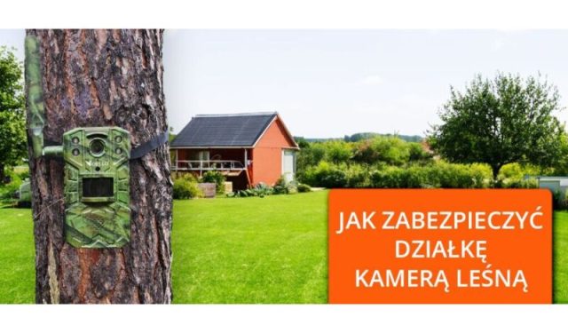 jak zabezpieczyć działkę kamerą leśną